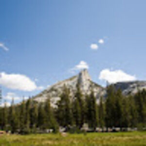 Meet your Posher, Tristan